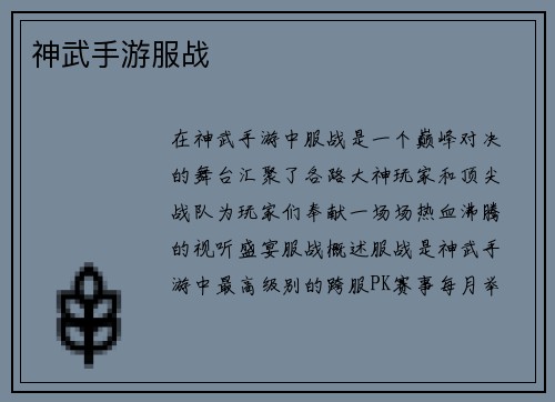 神武手游服战